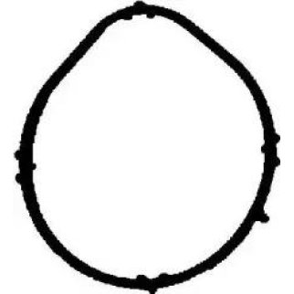 Прокладка впускного коллектора Victor Reinz 71-35381-00 фото