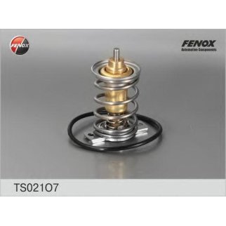 Термостат ВАЗ 2110-2112, 1117-1119 Kalina, 2170-2172 Priora FENOX TS021O7 фото