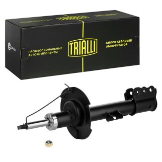 Амортизатор передний TRIALLI AG 10386 фото