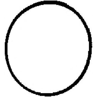 Прокладка впускного коллектора CORTECO 450562H фото