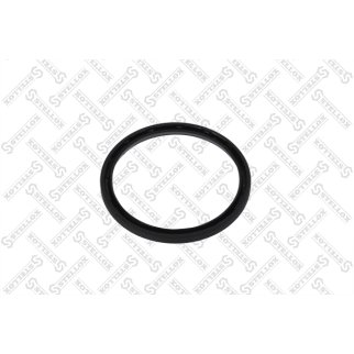 81-01134-SX_сальник ступицы! передн. NBR 70x81.5x6 BAOFX7 Omn MB Atego/Actros/Axor 1831-3357 O530 фото