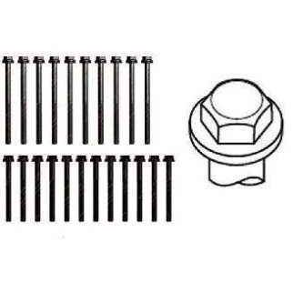 К-кт болтов головки блока Payen HBS011 фото