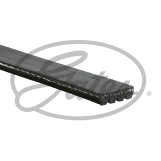 Ремень ручейковый GATES 4PK813 фото