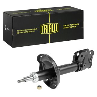 Амортизатор передний TRIALLI AG 22154 фото