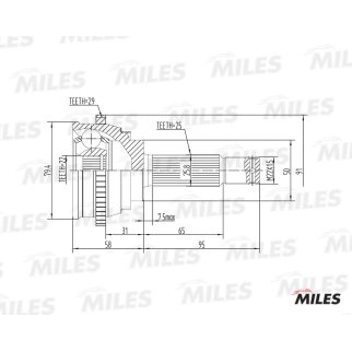 ШРУС наружный передний MILES GA20161 фото
