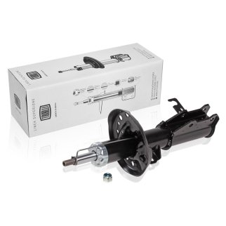 Амортизатор передний правый TRIALLI AG 05361 фото