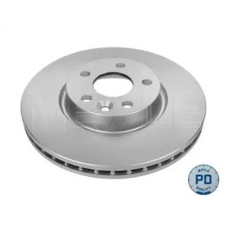 Торм.диск пер.вент.(300x28) 5 отв./PLATINUM DISC/ фото