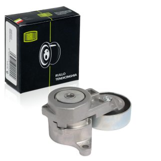 Натяжитель ремня TRIALLI CM1110 фото 2