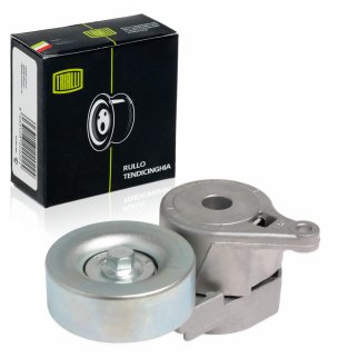 Натяжитель ремня TRIALLI CM1110 фото