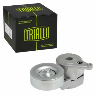 Натяжитель ремня TRIALLI CM1110 фото
