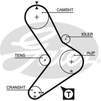Ремень ГРМ фото