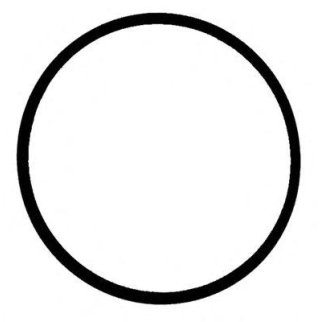 Прокл.впуск.кол-ра фото