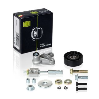 К-кт ручейкового ремня TRIALLI CM0118 фото