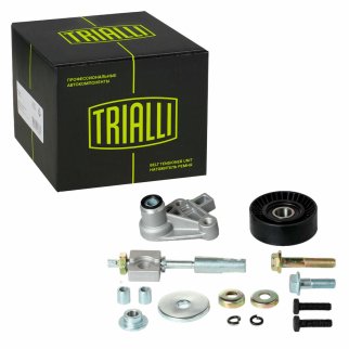 К-кт ручейкового ремня TRIALLI CM0118 фото