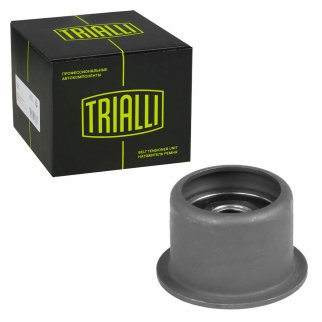 Ролик ГРМ TRIALLI CM 5203 фото