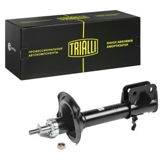 Амортизатор задний правый TRIALLI AG 22406 фото