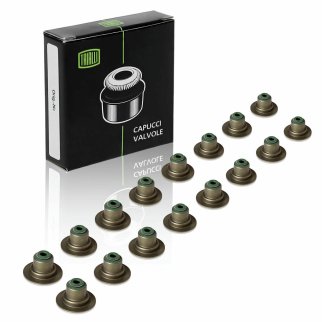 К-кт маслосъемных колпачков TRIALLI CV 0903 фото