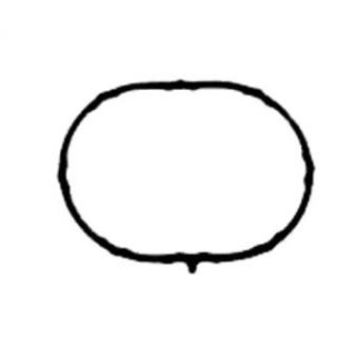 Прокладка впускного коллектора Victor Reinz 71-53796-00 фото