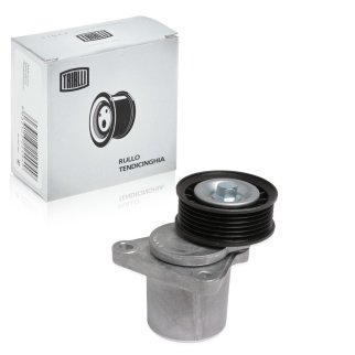 Ролик-натяжитель ручейкового ремня TRIALLI CMS1219 фото