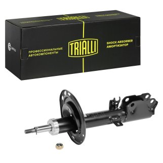 Амортизатор задний TRIALLI AG 19403 фото