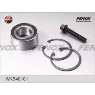 Подшипник ступицы (к-кт) Fenox WKB40101 фото
