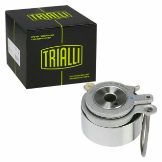 Ролик ГРМ TRIALLI CM 2301 фото 2