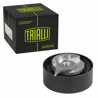 Ролик ГРМ TRIALLI CM 1843 фото