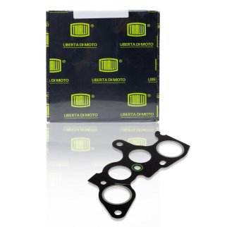 Прокладка впускного коллектора TRIALLI GZ 102 0013 фото