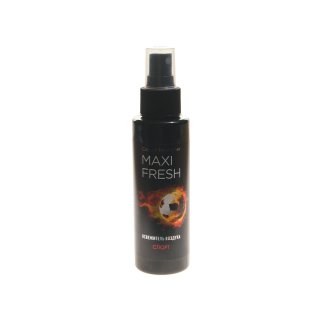 Ароматизатор воздуха MAXI FRESH (спорт) спрей 110мл фото