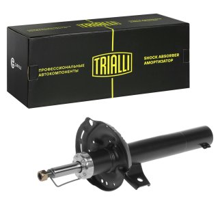 Амортизатор передний TRIALLI AG 18060 фото