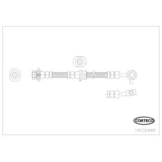 Шланг тормозной CORTECO 19036848 фото