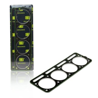 Прокладка головки блока TRIALLI GZ 101 2022 фото