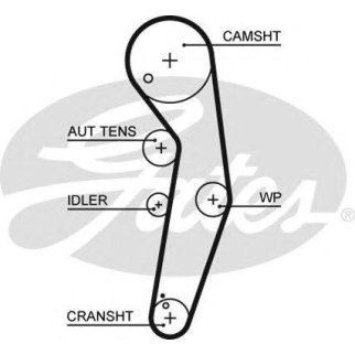Ремень ГРМ GATES 5569XS фото