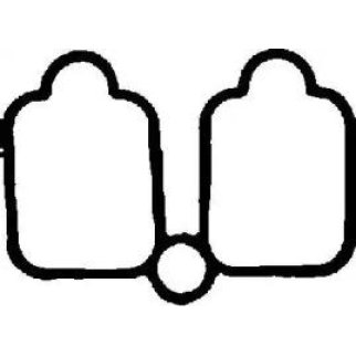 Прокладка впускного коллектора фото