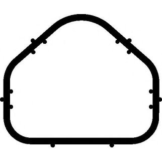 Прокладка впускного коллектора Elring 486.040 фото