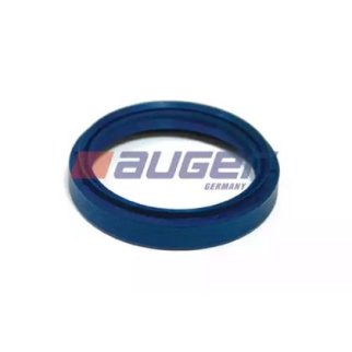 AUG54874_сальник !63x80x16  MAN фото