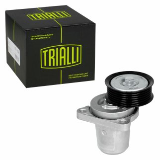 Ролик ГРМ TRIALLI CMS 135 фото