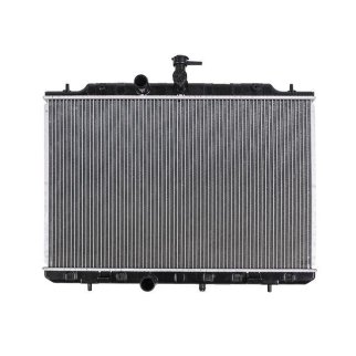 Радиатор основной TERMAL 258365J фото