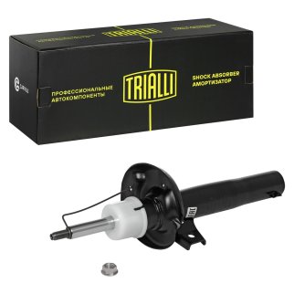 Амортизатор передний TRIALLI AG 18064 фото