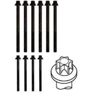 К-кт болтов головки блока Payen HBS251 фото