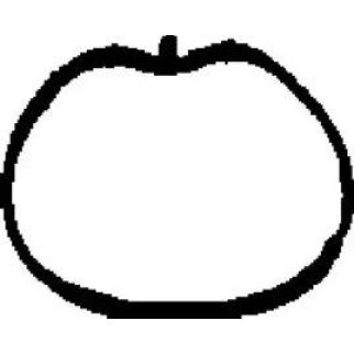 Прокладка впускного коллектора FORD FIESTA IV, FOCUS I 1.2/1.4/1.6 16V DOHC 95> (4) фото