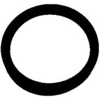 Прокладка термостата Elring 394.090 фото