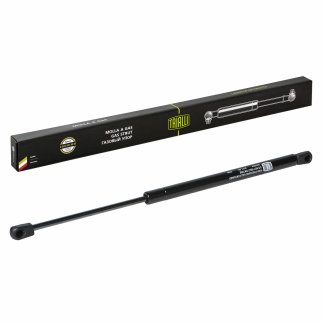 Газовый упор багажника TRIALLI GS 2006 фото