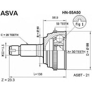 ШРУС наружный ASVA HN55-A50 фото