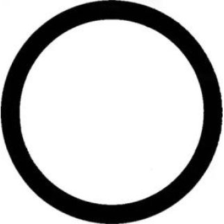 Прокладка свечного канала Victor Reinz 40-76246-00 фото