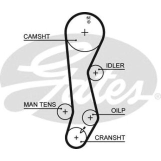 Ремень ГРМ фото