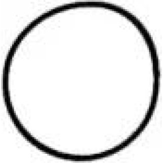 Прокладка впускного коллектора Victor Reinz 40-77534-00 фото