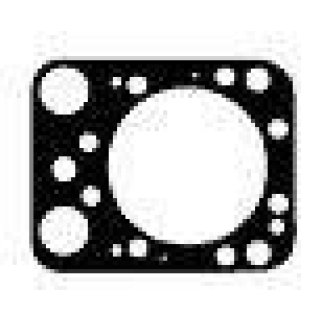 Прокладка головки блока Payen BV270 фото