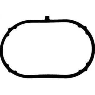 Прокладка впускного коллектора VW GOLF IV 2.5, JETTA V 2.5FSI, PASSAT B7 (менять 5шт) фото