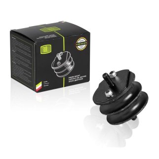 Опора двигателя TRIALLI RM 0101 фото